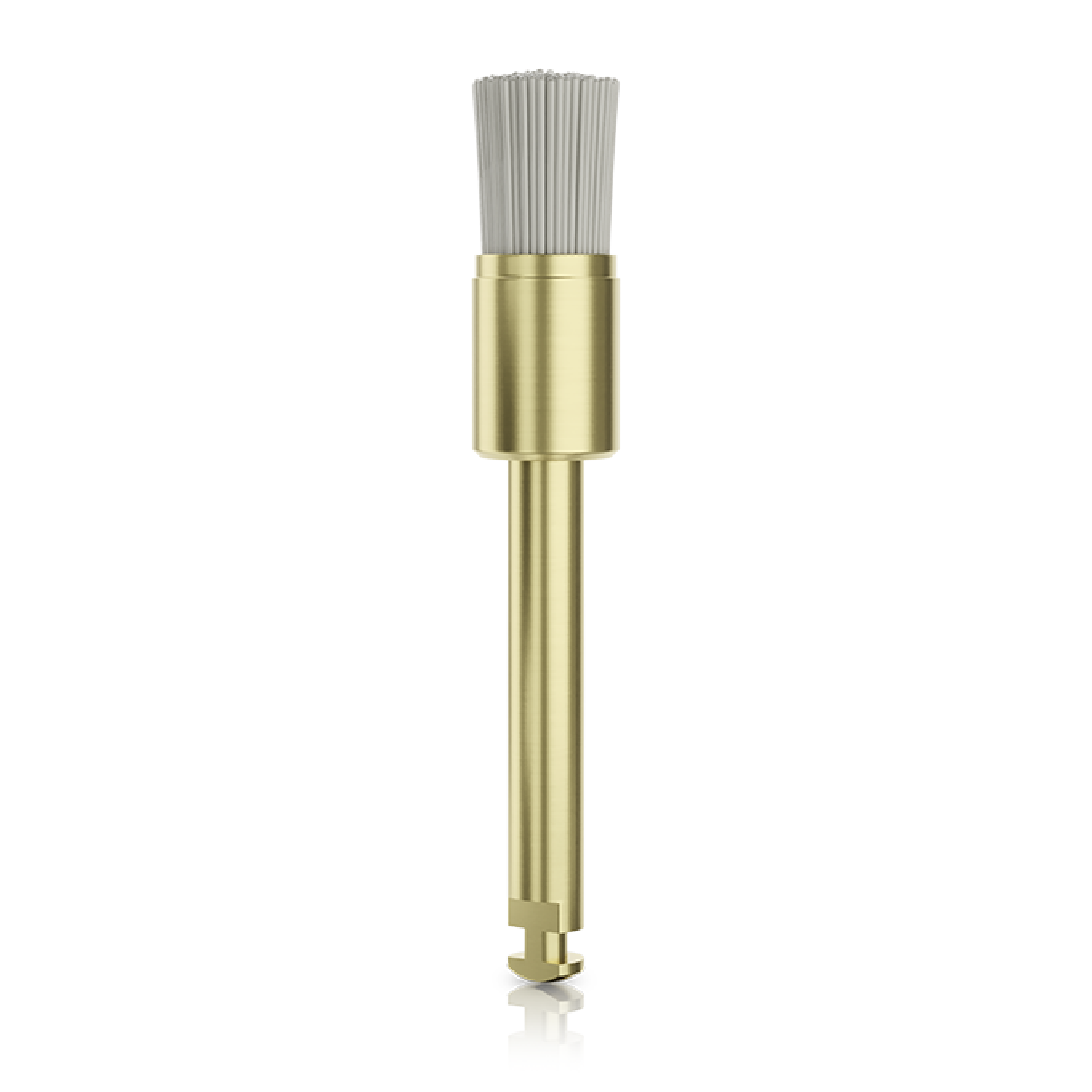 Polishing brushes